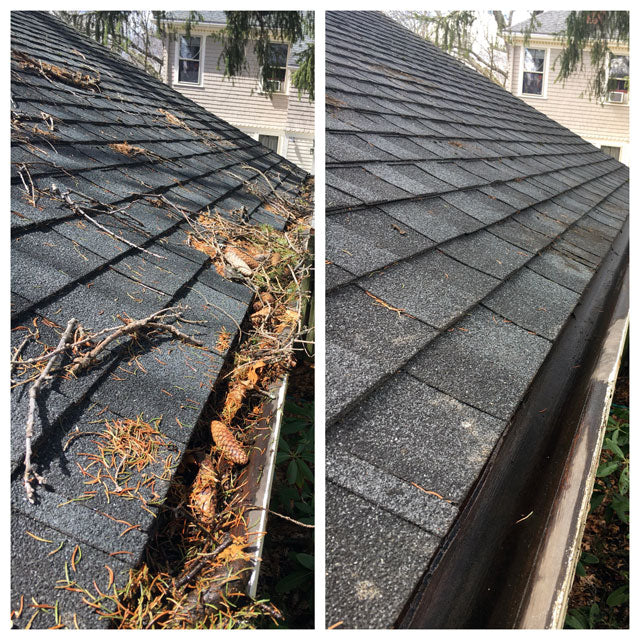 Gutter Cleaning (Exterior Only)