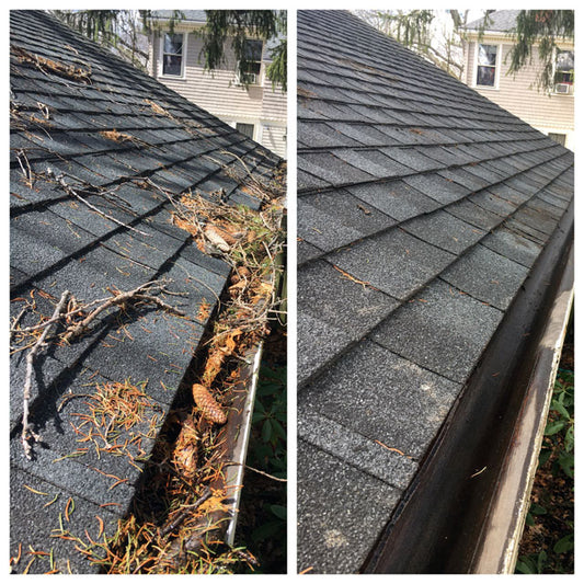 Gutter Cleaning (Exterior Only)