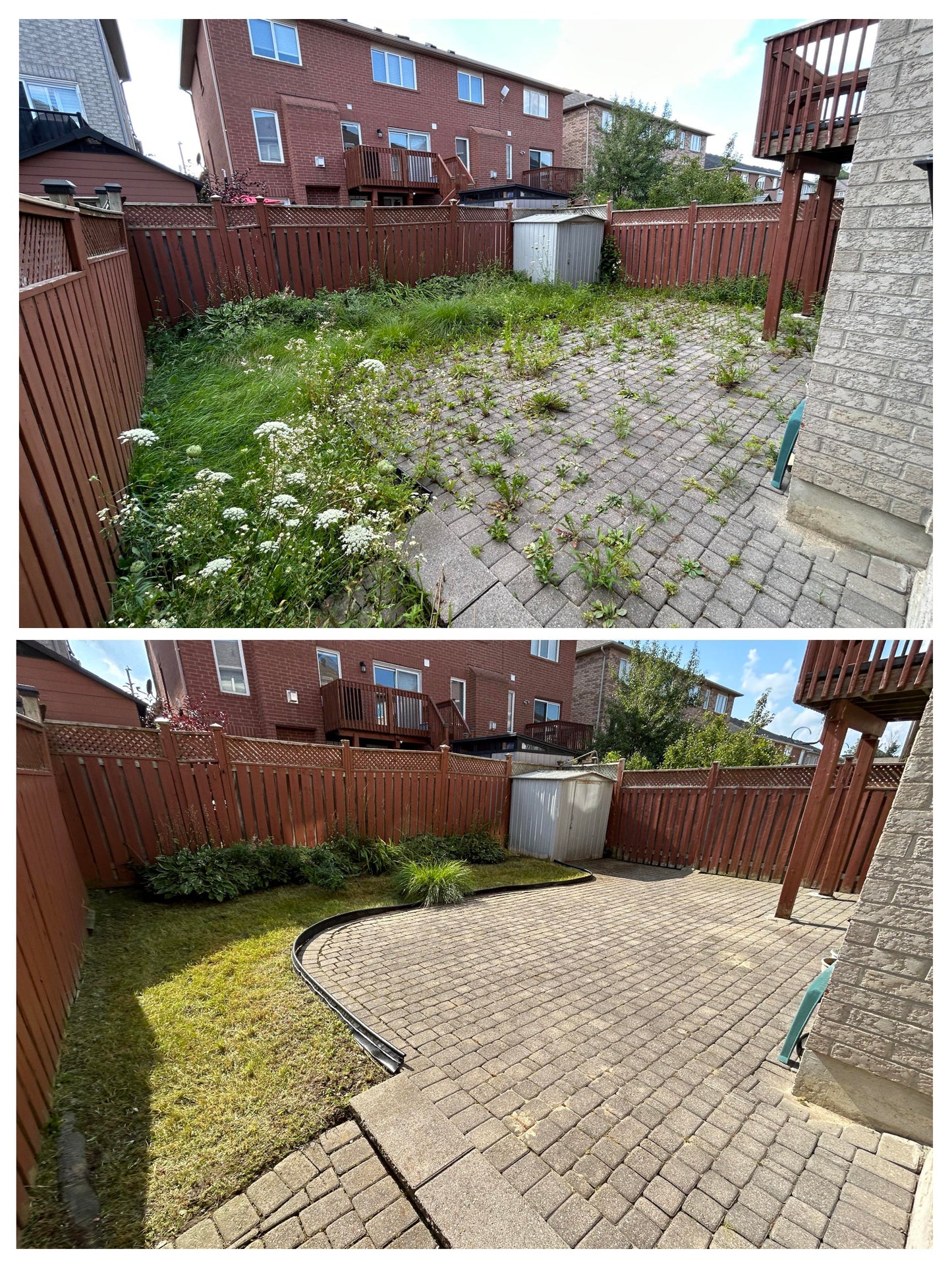 Backyard Care