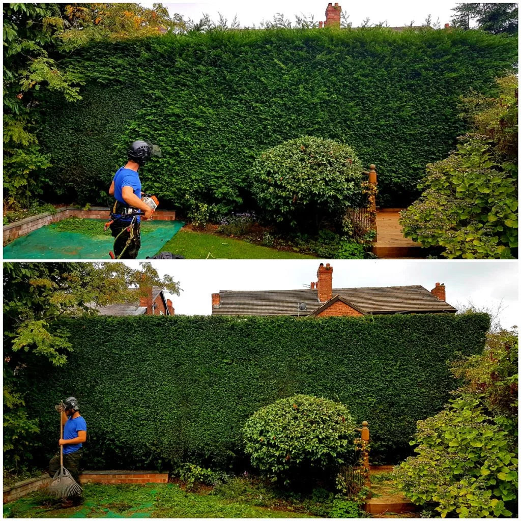 Backyard Care