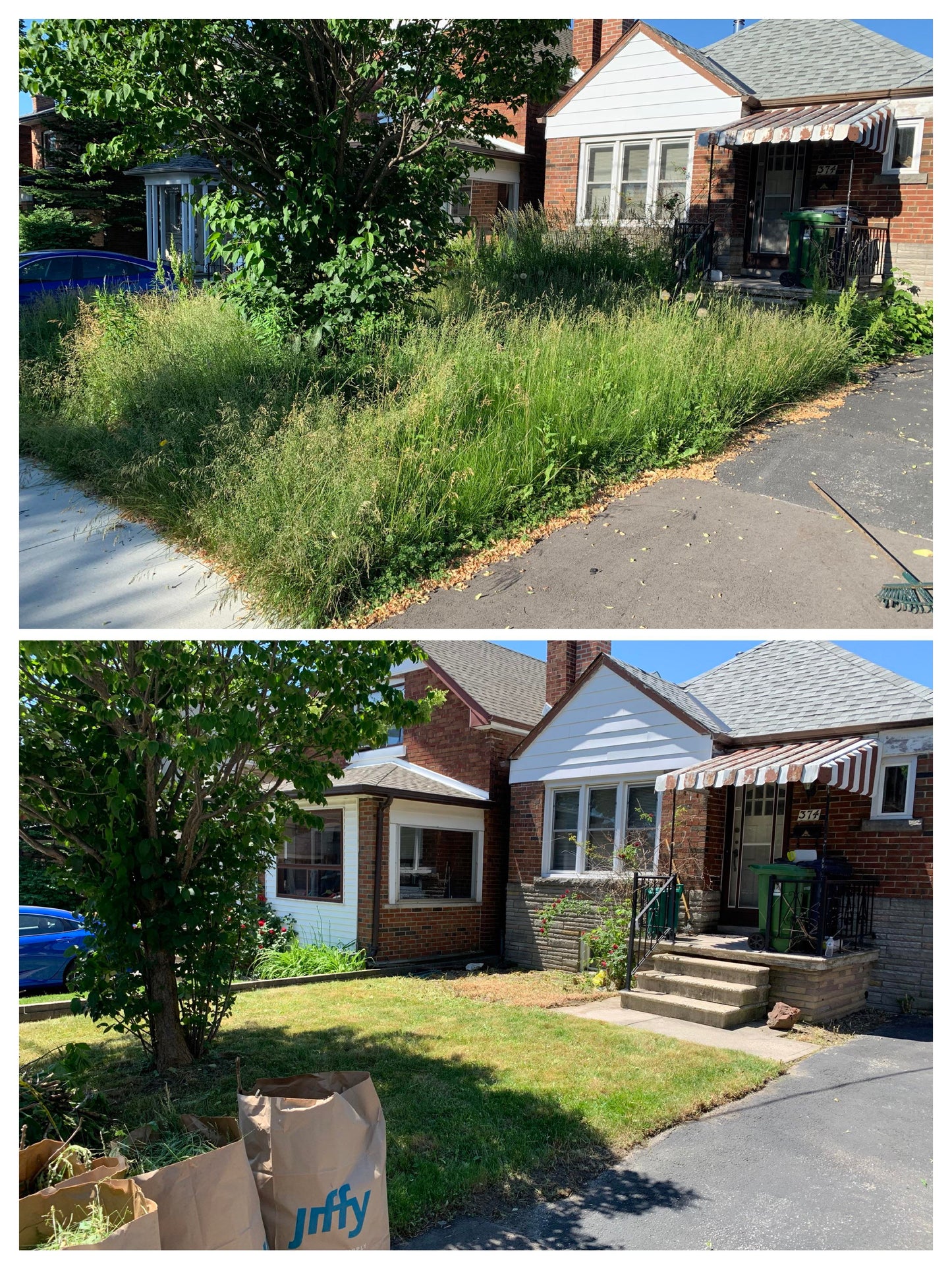 Backyard Care