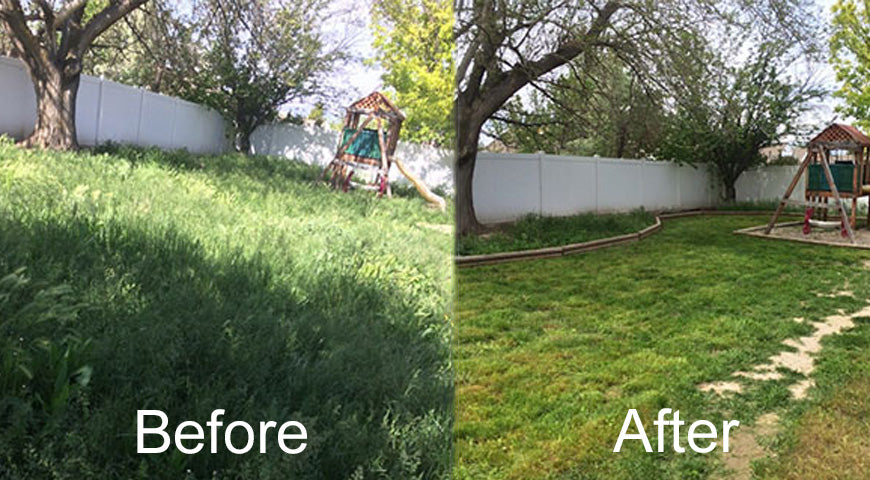Backyard Care