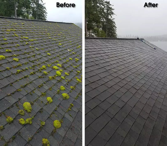 Roof Cleaning