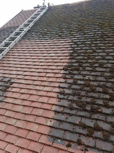 Roof Cleaning