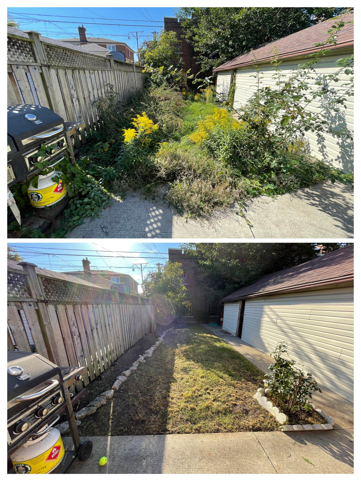 Backyard Care