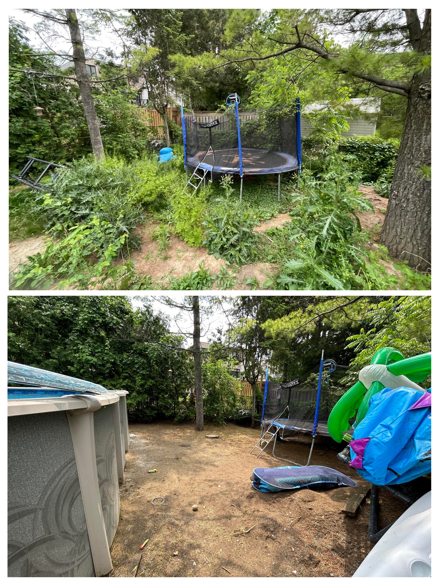 Backyard Care