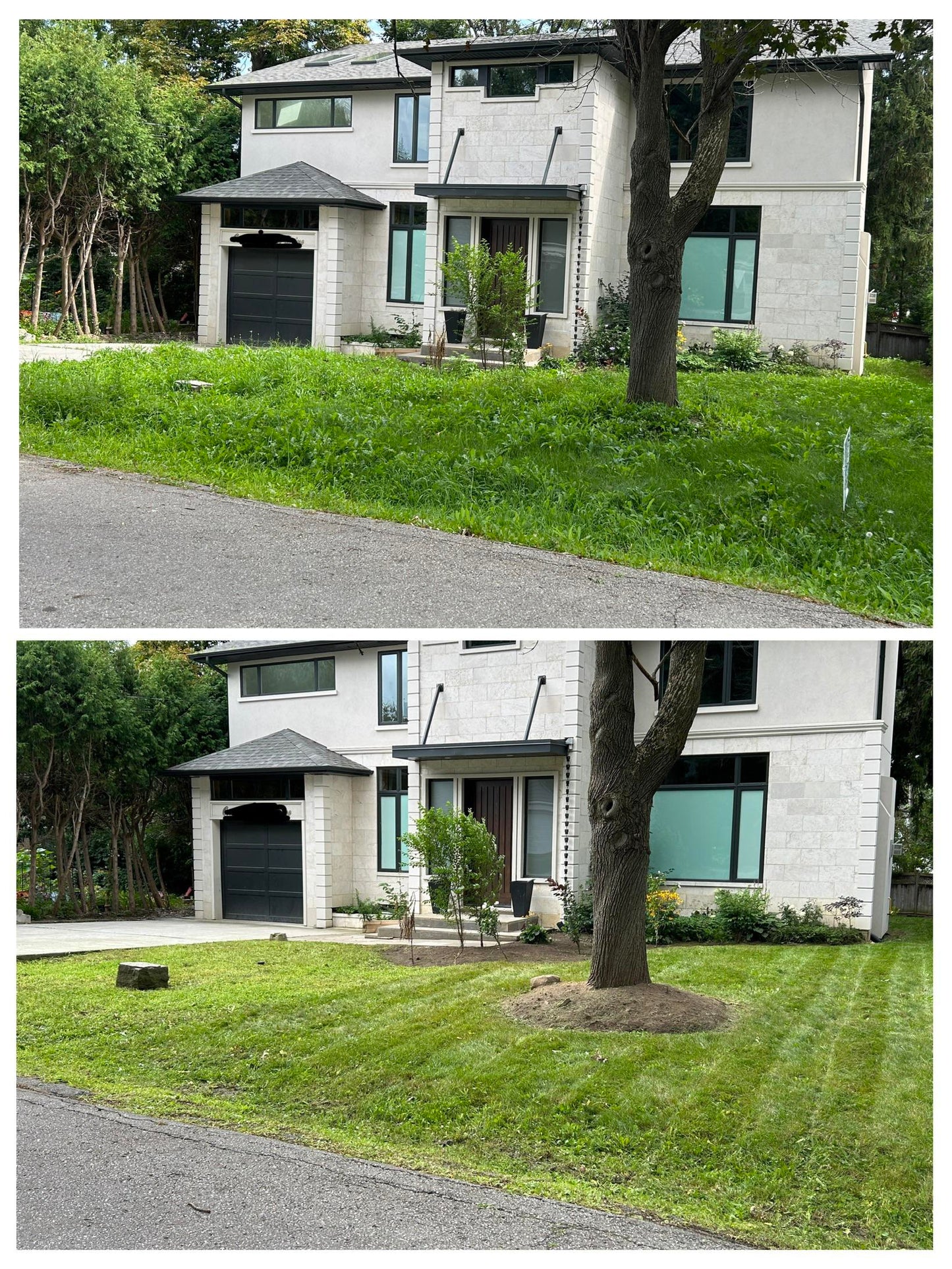 Backyard Care
