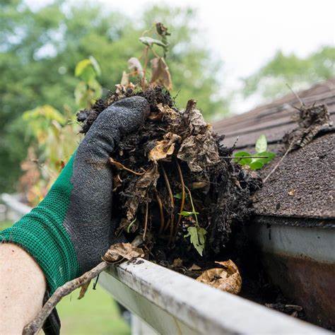 Gutter Cleaning (Exterior Only)