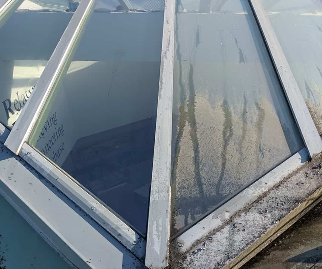 Window Cleaning